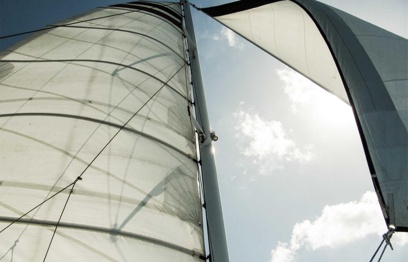 Портрет Алексея Волкова